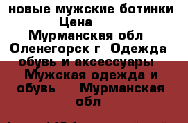 новые мужские ботинки › Цена ­ 700 - Мурманская обл., Оленегорск г. Одежда, обувь и аксессуары » Мужская одежда и обувь   . Мурманская обл.